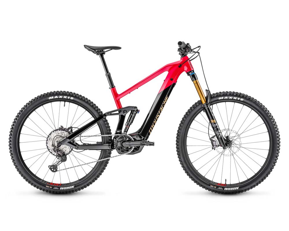 E bike cami de cavalls